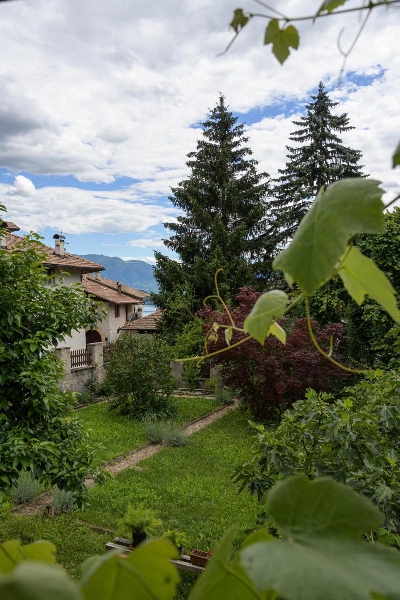 Casa Bolego Villa Cagno  ภายนอก รูปภาพ